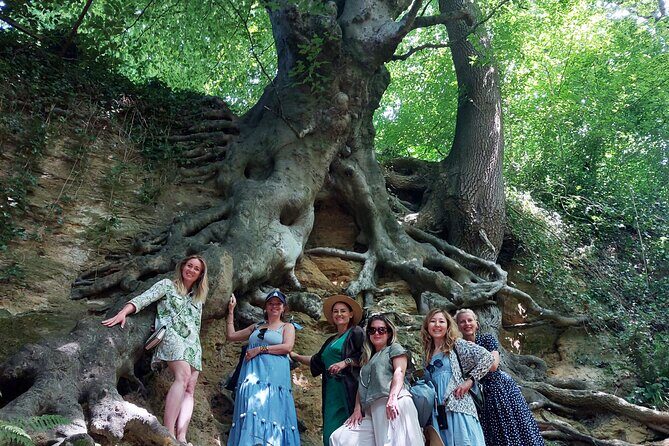 A Tour of Glastonbury, Guided by the Trees. - Exploring Glastonbury in a Whole New Light