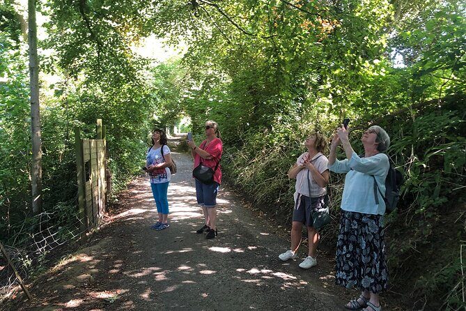 A Tour of Glastonbury, Guided by the Trees. - Who Should Consider This Tour?