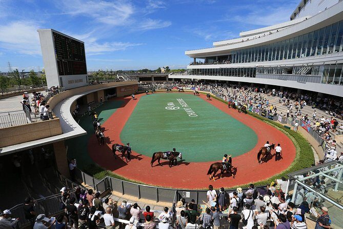 A tour to enjoy Japanese official gambling (horse racing, bicycle racing, pachinko) - FAQs