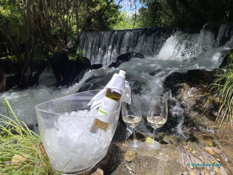 A trip through the Vinhos Verdes of the Basto Region - Exploring the Basto Regions Unique Wines