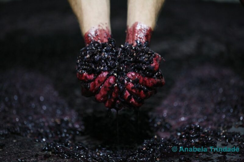 A trip through the Vinhos Verdes of the Basto Region - Practical Details and Logistics