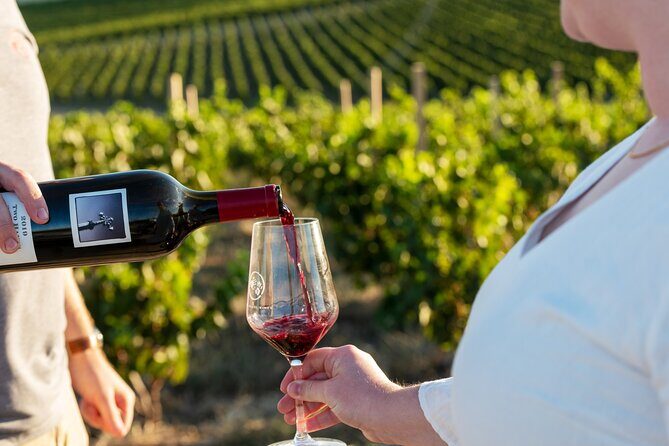 A Truly Barossan Wine Experience - High-End Private Day Tour - A Truly Barossan Wine Experience - High-End Private Day Tour