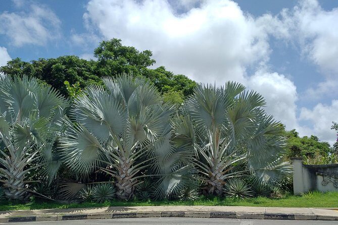 A two hour historic walking tour of Speightstown - Frequently Asked Questions