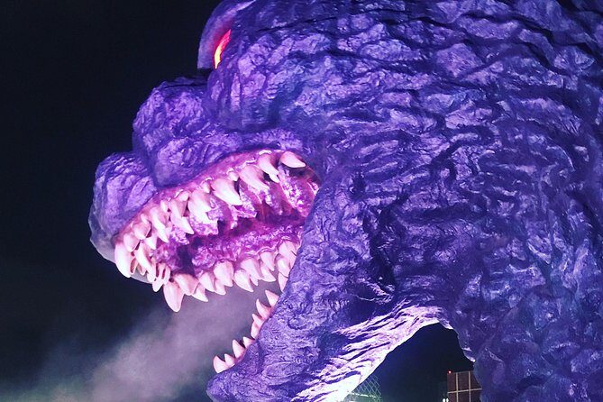 A typical evening in Shinjuku - Final Thoughts