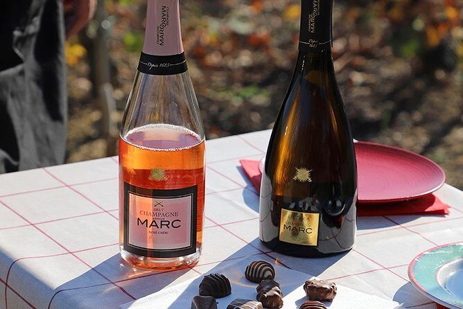 A unique sensory experience in the vineyards - A Unique Sensory Experience in the Vineyards