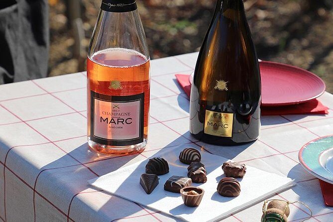 A unique sensory experience in the vineyards - Key Points