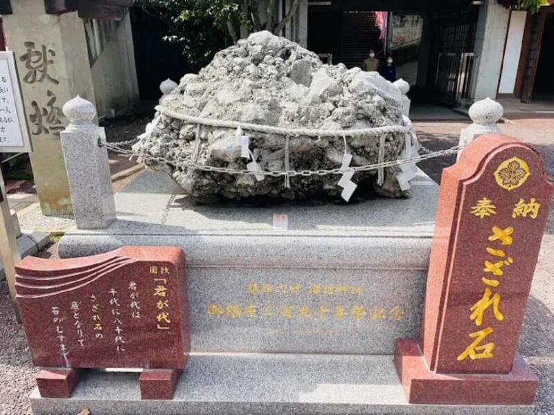 A Walk Through Suwa Shrine & Kofuku-ji Temple - Key Points