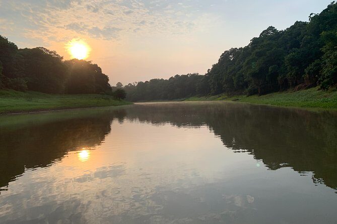 A Whole Day in the Jungle - Final Thoughts