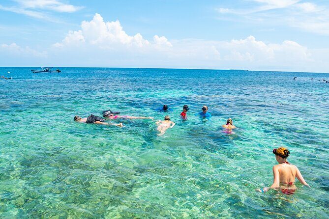 A whole day to the 5 Rosario Islands with snorkeling and plankton - A Deep Dive into the Rosario Islands Tour Experience