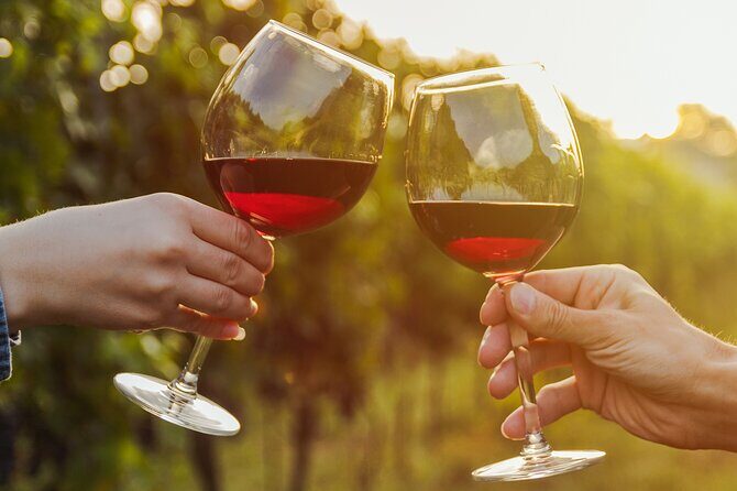 A Wine Tasting Experience in the Vineyards of the Desert - A Detailed Look at the Wine Tasting Experience in Arizona’s Desert Vineyards