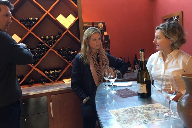 A Winey Day Out: Sauvignon Blanc Wine Tour of Sancerre and Pouilly-Fumé - A Deep Dive into the Experience