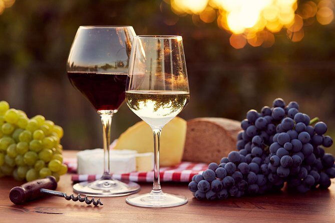 A world of wine-tasting in Nemea - A world of wine-tasting in Nemea: An Authentic Greek Experience