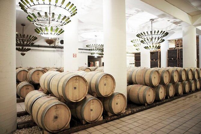 A world of wine-tasting in Nemea - Key Points