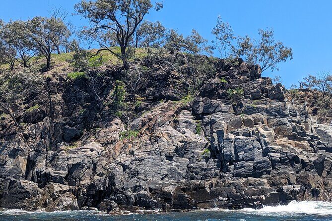 AAA Noosa National Park tour and Dolphin Safari Whalesongsnoosa - Key Points
