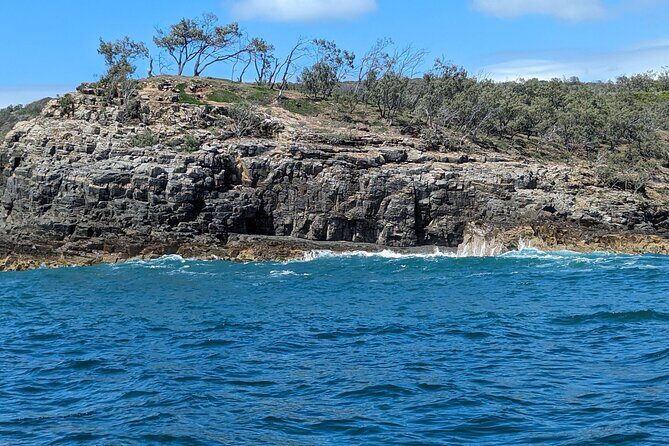 AAA Noosa National Park tour and Dolphin Safari Whalesongsnoosa - Our Final Thoughts