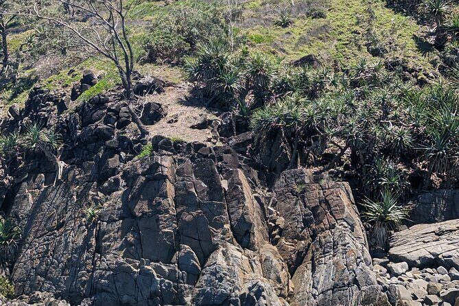 AAA Noosa National Park tour and Dolphin Safari Whalesongsnoosa - FAQ