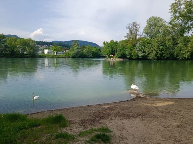 Aarau: Private Walking Tour with a Local Guide - Final Thoughts