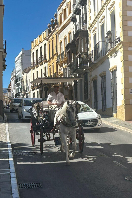 ab Marbella: Private VIP-Tour Ronda incl. Transfer + Tapas - Exploring Ronda with a Private VIP Tour from Marbella: An Authentic Day in Andalusia