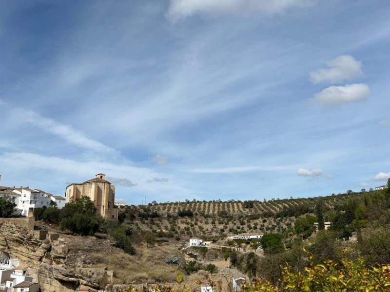 ab Mijas: Private VIP-Tour Ronda und Setenil de las Bodegas - Final Thoughts