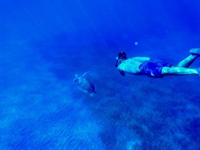 Abades: Guided Snorkeling Tour with Photos - Key Points