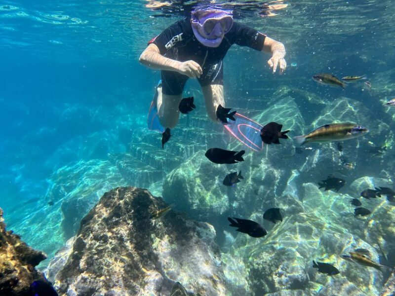Abades: Guided Snorkeling Tour with Photos - Tour Logistics and Practicalities