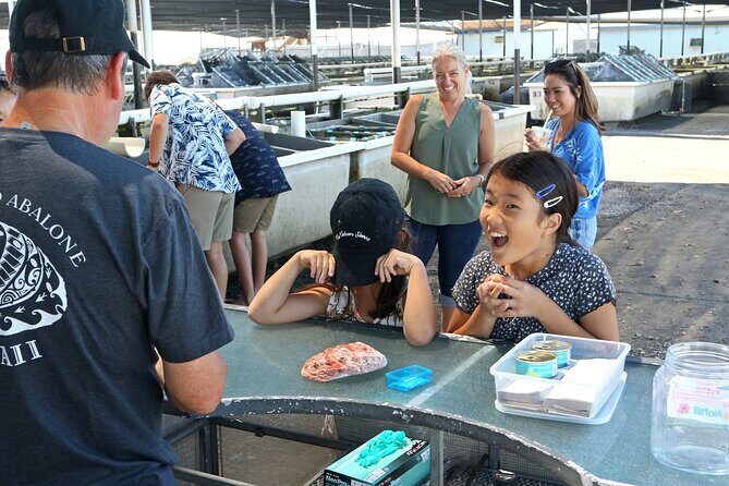 Abalone Farm Tour - The Sum Up: Is This Tour Right for You?