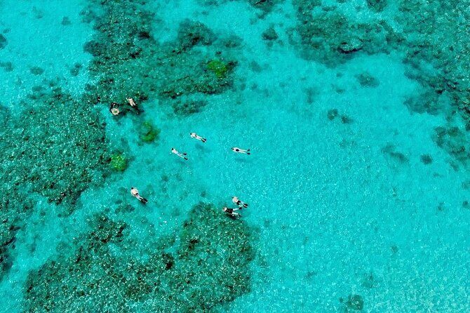 ABC Snorkel Charters Port Douglas Snorkelling max 12 passengers - Final Thoughts