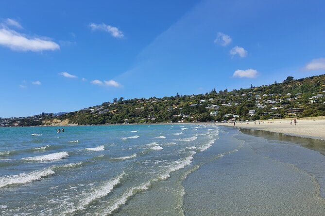 Abel Tasman Adventure Private Tour from Nelson Cruise Port - Who Should Consider This Tour?