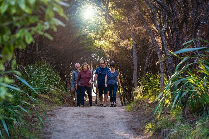 Abel Tasman Heli-Hike - The Experience: A Day of Contrasts and Highlights