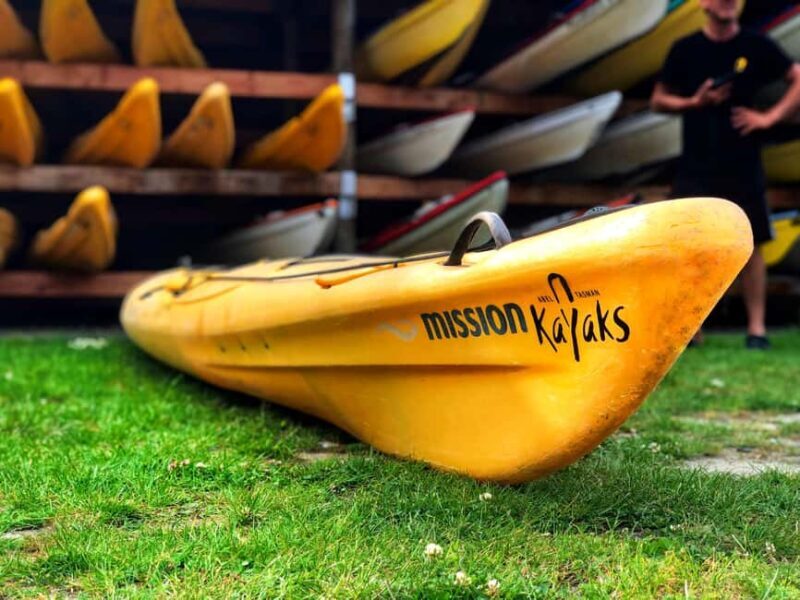 Abel Tasman Kayaks: 1 Day Freedom Kayak Rental - Exploring Abel Tasman by Kayak: Freedom and Flexibility in New Zealand’s Coastal Paradise