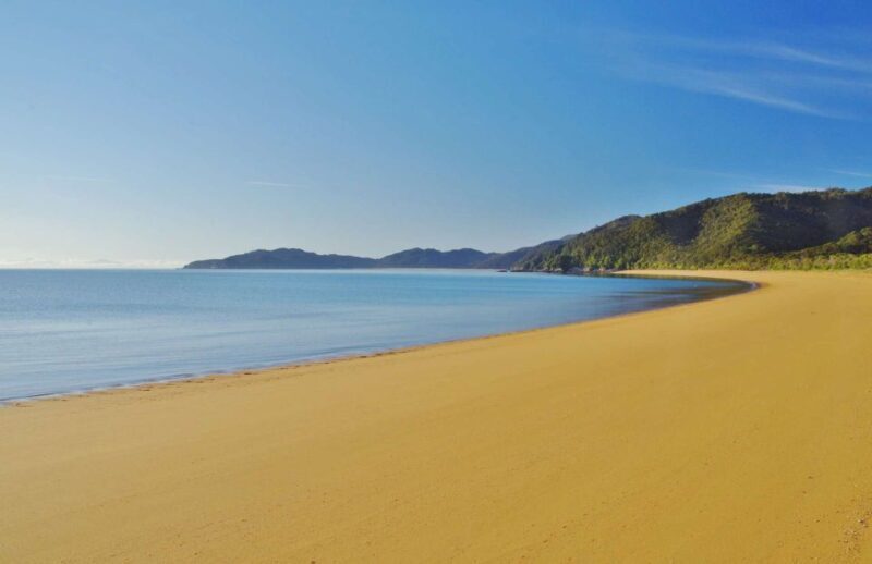 Abel Tasman National Full Park Scenic Cruise - An In-Depth Look at the Abel Tasman Full Park Scenic Cruise