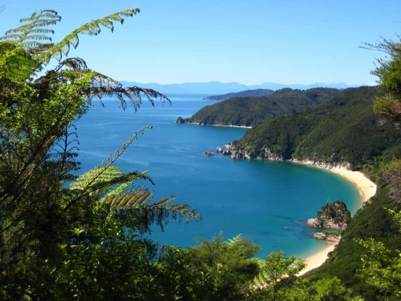 Abel Tasman National Park: Cruise and Hike Full-Day Tour - Final Thoughts: Is It Worth It?