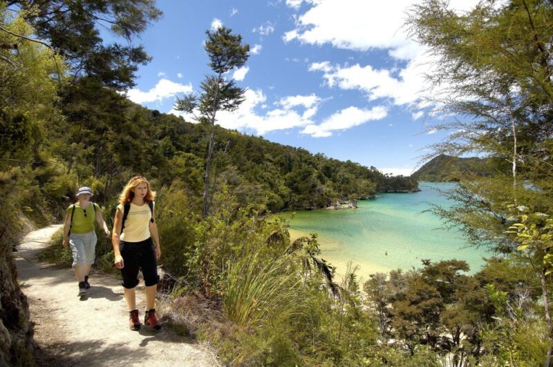 Abel Tasman National Park: Cruise, Walk & Sailing Tour - Who Should Consider This Tour?