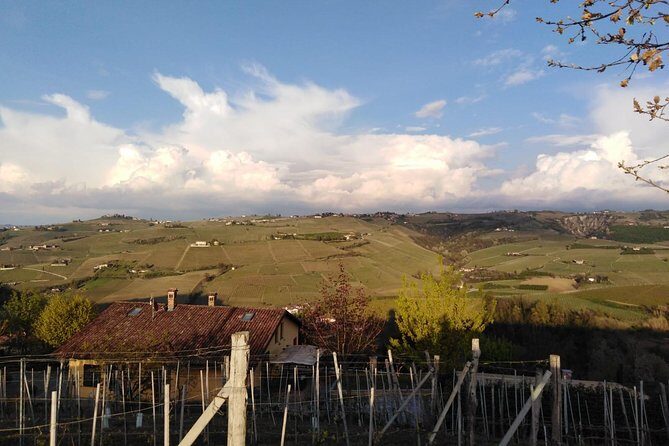 Abellonio Cascina Piccaluga - visit to the vineyards, to the wine tasting cellar - Experience a Taste of Piedmont at Abellonio Cascina Piccaluga