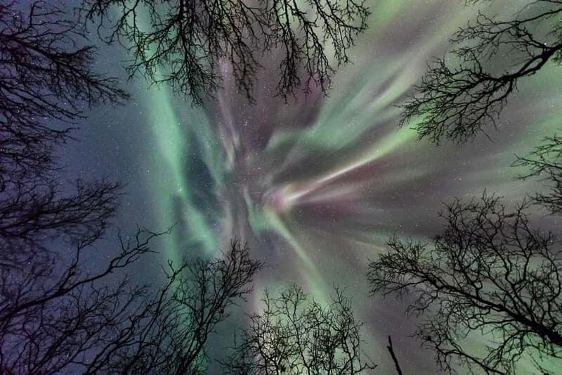 Abisko: Guided Autumn Aurora Chase with Hotel Transfers - Frequently Asked Questions