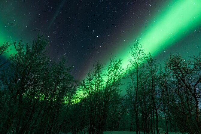 Abisko Northern Lights Tour with Photographer - An In-Depth Look at the Abisko Northern Lights Tour with Photographer