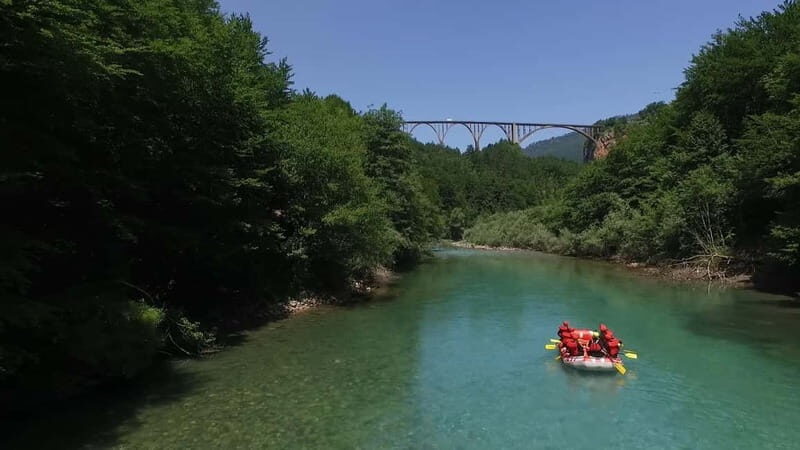 abljak: Half-Day Tara Canyon Rafting Tour - The Experience of a Lifetime in Durmitor National Park