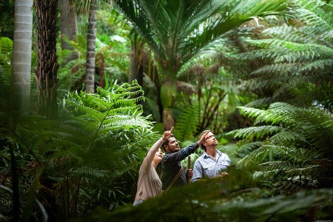 Aboriginal Heritage Walk - Royal Botanic Gardens Victoria, Melbourne Gardens - A Genuine Look at the Aboriginal Heritage Walk in Melbourne Gardens