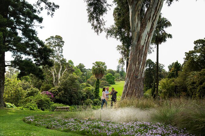 Aboriginal Heritage Walk - Royal Botanic Gardens Victoria, Melbourne Gardens - Detailed Breakdown of the Itinerary