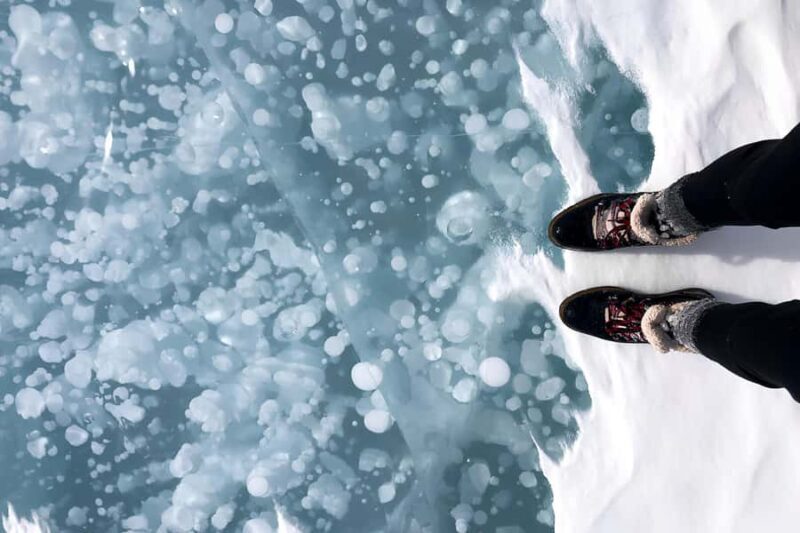 Abraham IceBubble/Sunwapta Falls, Snowshoeing Bow & Peyto - Who Would Love This Tour?