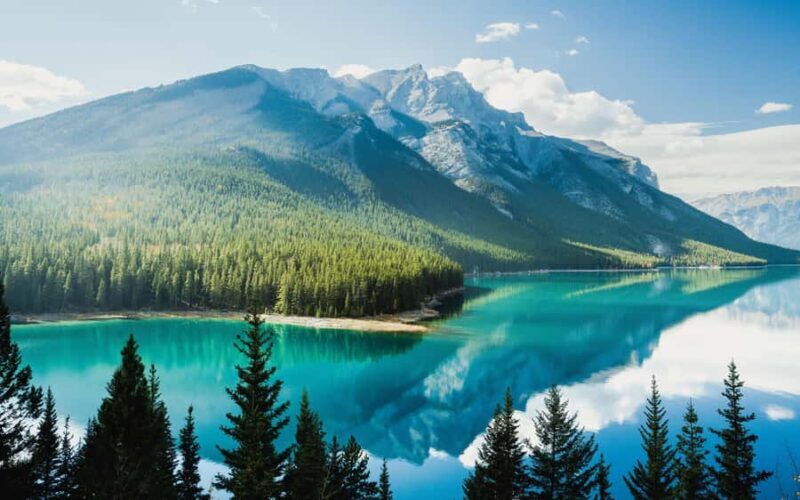 Abraham IceBubble,Bow Lake, Peyto Lake, Lake Louise Day Trip - Who Will Love This Tour?