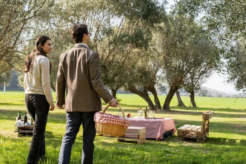 Abruzzo: Country Picnic in an Olive Grove at a Winery - Experience a Taste of Abruzzo: Country Picnic in an Olive Grove at a Winery