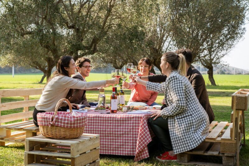 Abruzzo: Country Picnic in an Olive Grove at a Winery - Key Points