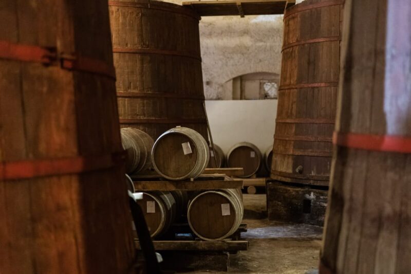 Abruzzo: Country Picnic in an Olive Grove at a Winery - A Few Considerations
