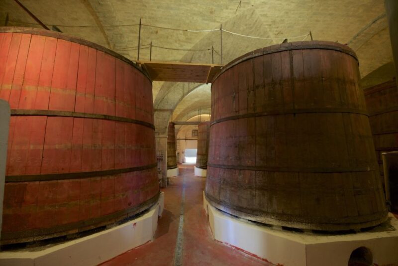 Abruzzo: Historic Cellar Wine Tour and Tasting - Key Points