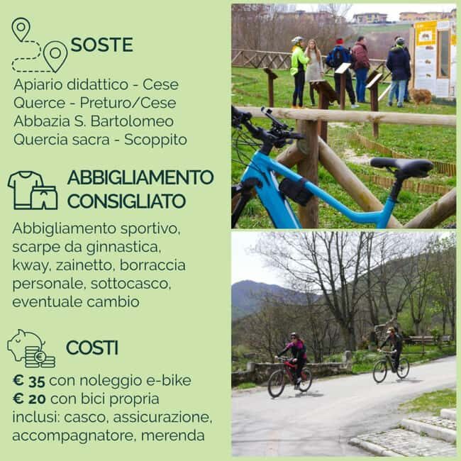 Abruzzo L'Aquila: e-bike tour in the shade of centuries-old oak trees - Storytelling: Legends of the Oaks and the World of Bees
