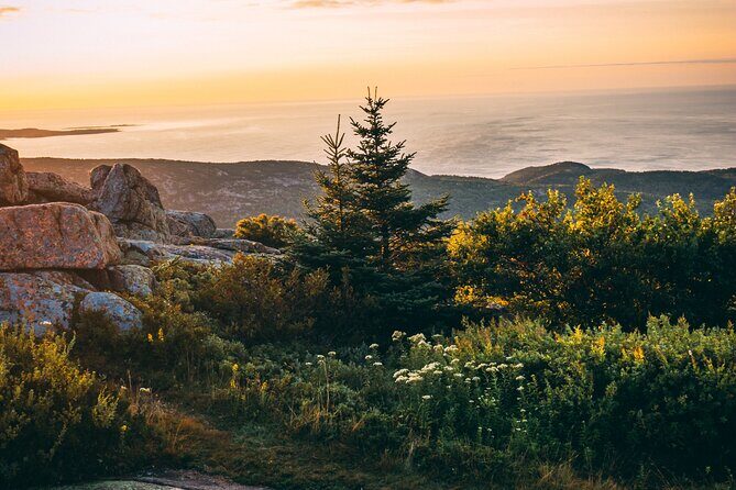 Acadia Cadillac Mountain Sunrise Half Day Private Tour & Hike - A Detailed Look at the Cadillac Mountain Sunrise Tour