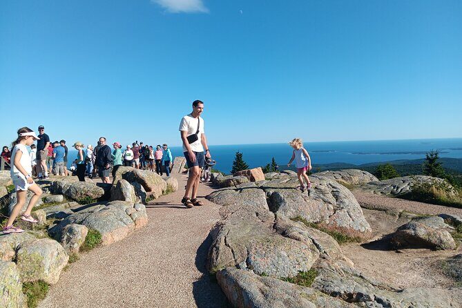Acadia Woody's Utmost Coast 3 Hour Driving Tour - An In-Depth Look at the Acadia Woody’s Utmost Coast Tour