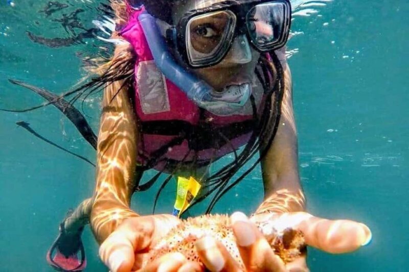 -Acapulco: Beach Break Experience with Snorkeling and Lunch - Transportation and Group Size: Keeping It Small and Personal