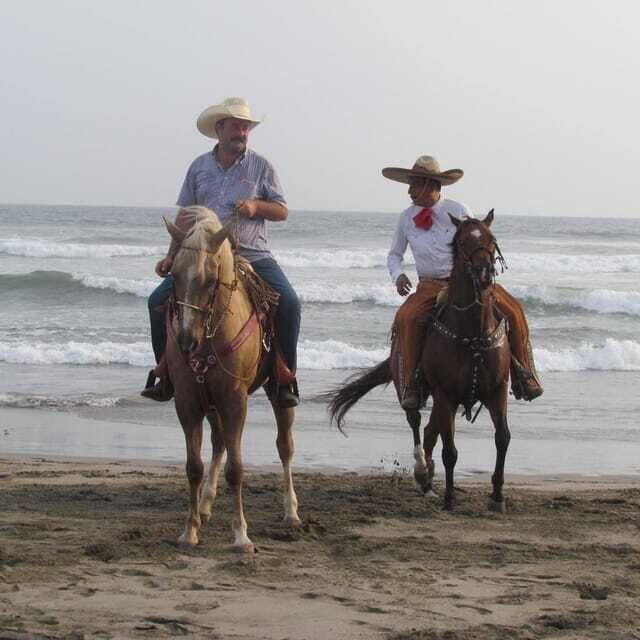 Acapulco: Bonfil Beach Horseback Riding Experience - The Transportation and Logistics